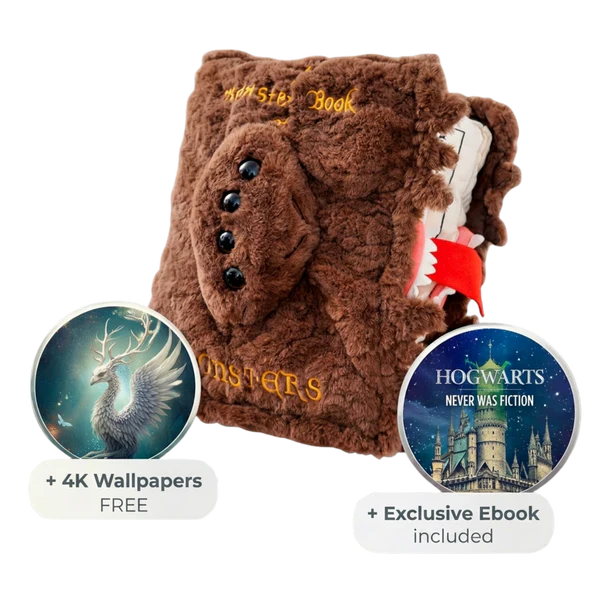 Magic Book Pillow