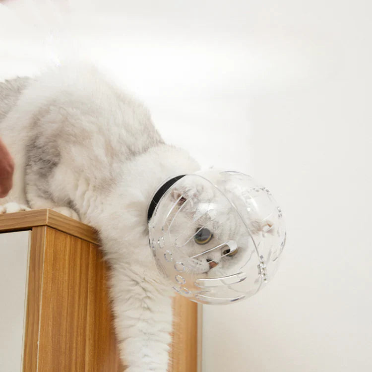 Breathable Cat Muzzle for Grooming Cat Helmet Cat Mouth Cover