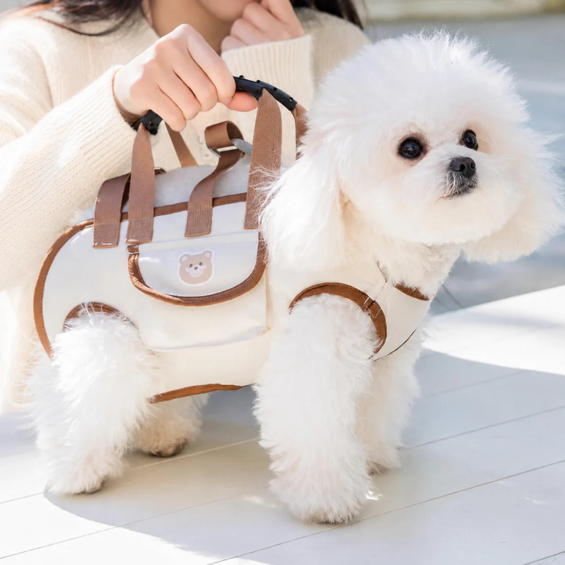 Breathable Pet Travel Bag
