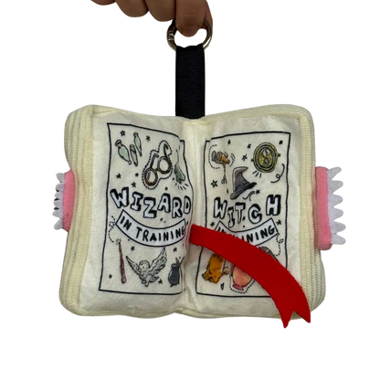 Magic Book Pillow