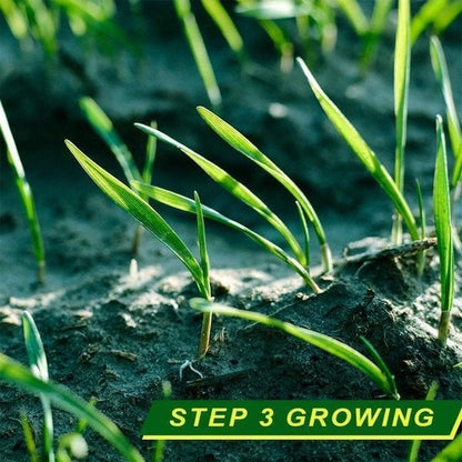 🔥LAST DAY 50% OFF-Grass Seed Mat: The Perfect Solution For Your Lawn Problems -Without Seed