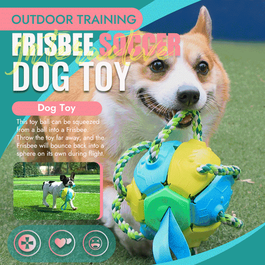 Interactive Flying Disk Ball Dog Toy