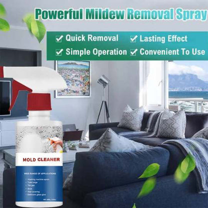 Mildew Cleaner Spray