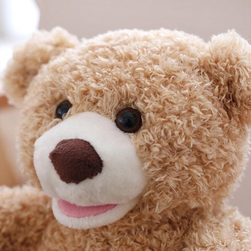 🐻Peek-A-Boo Bear👶