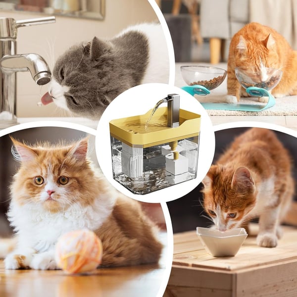 😻💧Automatic Pet Water Fountain🐶✨