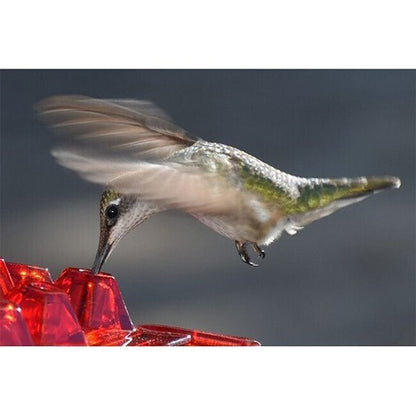 MARY'S HUMMINGBIRD FEEDER WITH PERCH