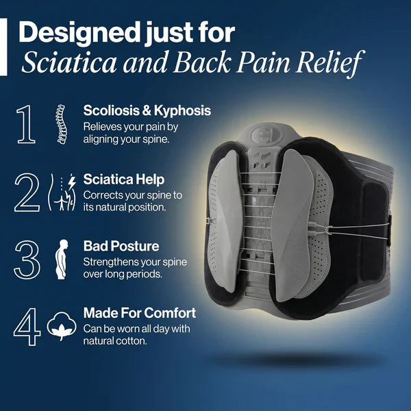 Back Support Belt